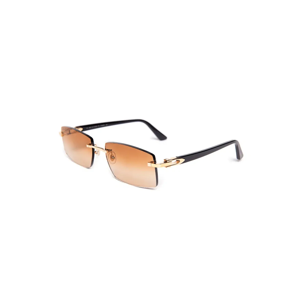 CT0287O Sunglasses