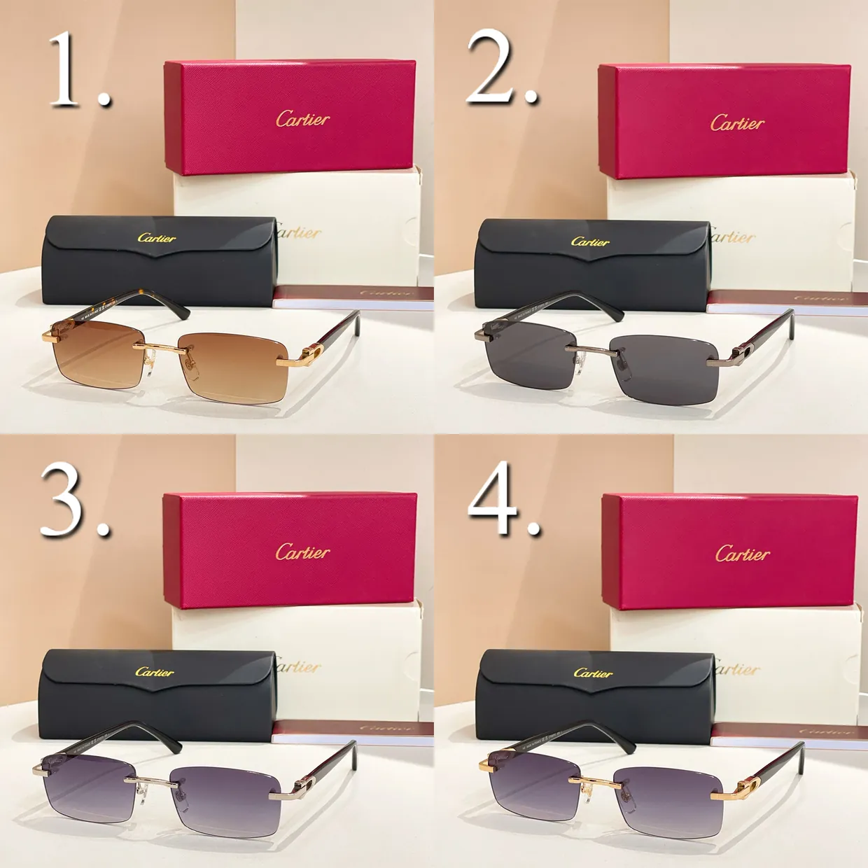 CT0287O Sunglasses